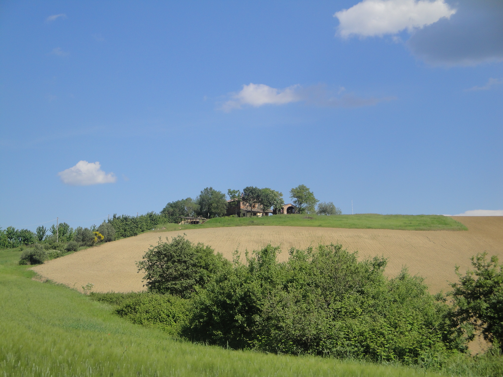 Casa in the fields